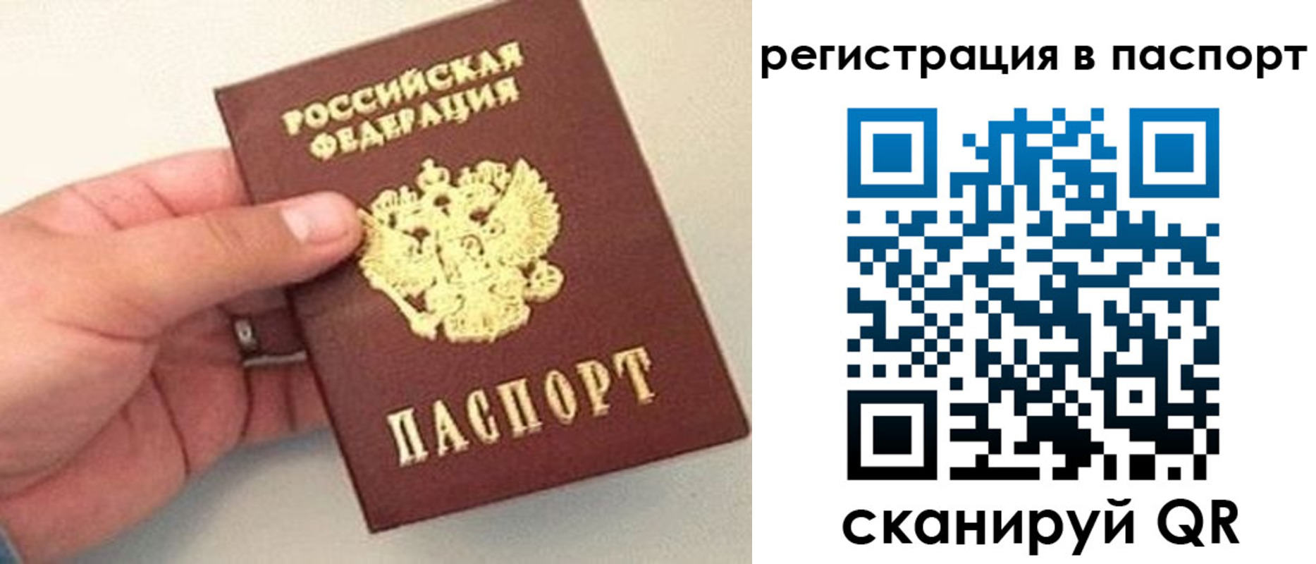 прописка законно в Называевске